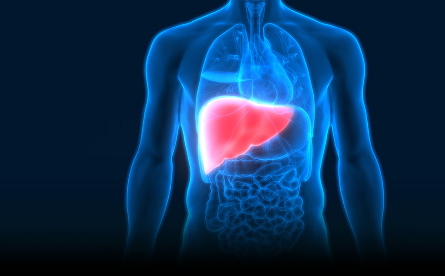 Professional Liver Transplantation Surgery Hospital in India