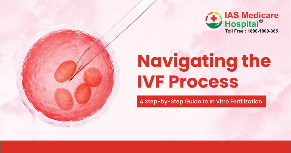 Navigating the IVF Process: A Step-by-Step Guide to In Vitro Fertilization