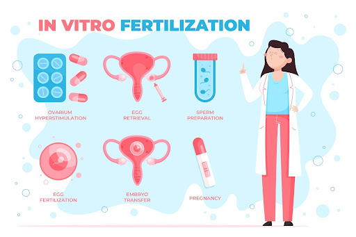 Navigating the IVF Process: A Step-by-Step Guide to In Vitro Fertilization